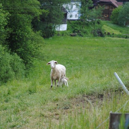 Landgasthof Seyrlberg Reichenau im Mühlkreis Extérieur photo