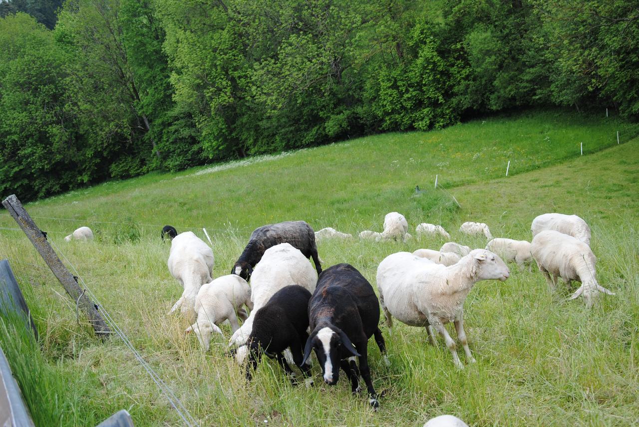 Landgasthof Seyrlberg Reichenau im Mühlkreis Extérieur photo